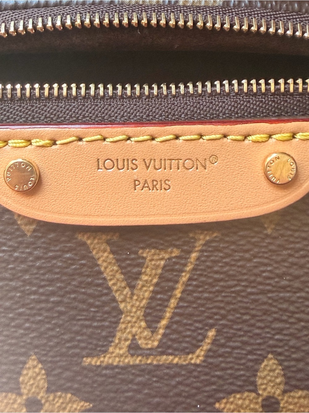 Louis Vuitton Brown Monogram Mini Bum Bag - Picture 9 of 13